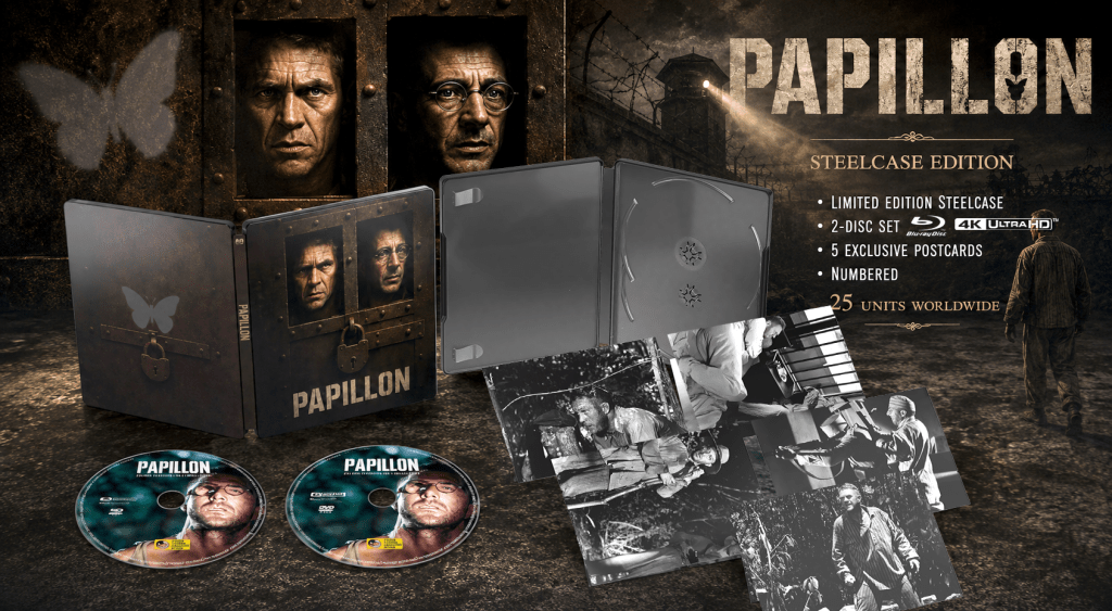 Papillon 1