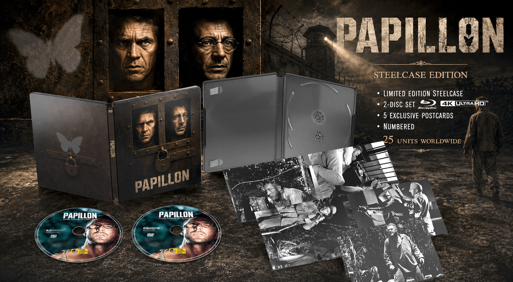 Papillon 1